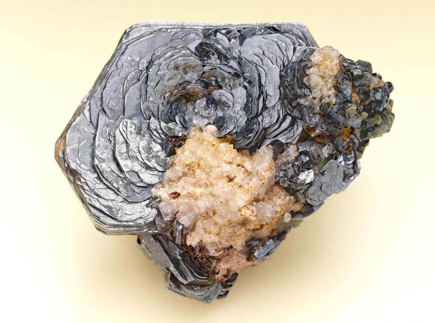schwarze blättrige Hämatitkristalle sind wie die Blütenblätter einer Rosenblüte zusammengewachsen