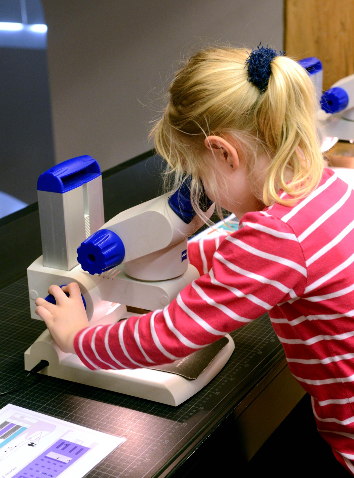 Ein kleines Mädchen schaut sich im Mitmach-Labor "Forschungsreise" Minerale unter dem Mikroskop an.