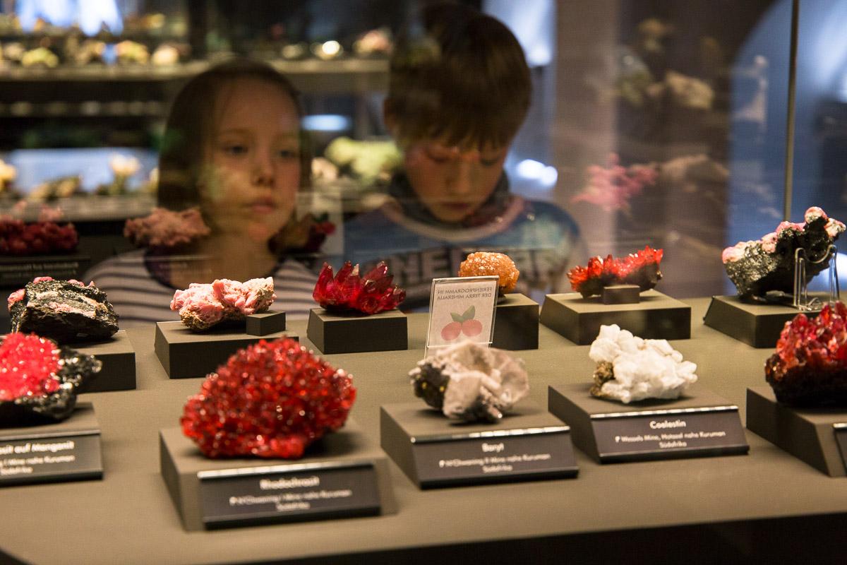 Kinder schauen in eine Glasvitrine mit farbigen Mineralen